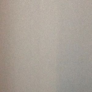 Meet your Posher, Lizz